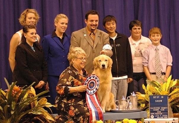 Treasure all time winning female golden retriever